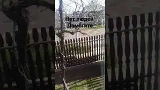 закулисие