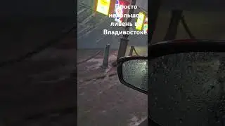 Владивосток вечером очередного дня😂 #владивосток #приморье #приморскийкрай #ливень #непогода #океан