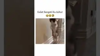 best friends for ever 🤣🤣