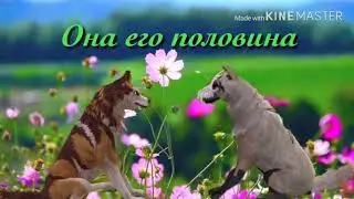 [MV] Симпа