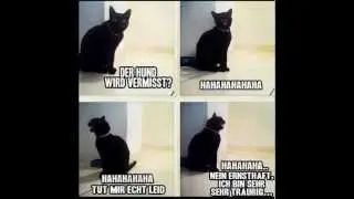 A C A B