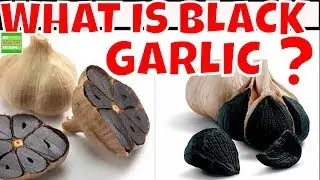 What  Is Black Garlic ? Health Benefits Of Black Garlic.