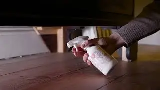 How to Get Rid of Clothes Moths