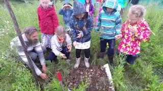 Посадили Дерево Мира