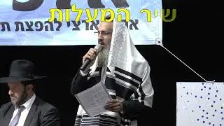 אמירת מזמור תהילים לרפואת מו