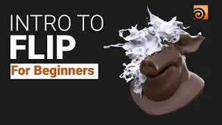 Intro to Flip in Houdini | Houdini Tutorial