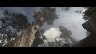 Skyrim Nextgen Graphics with Community Shaders | From Riverwood to Falkreath