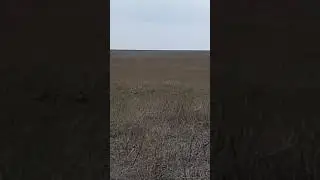 Натаска Эпаньоля Делон