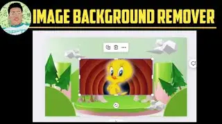 How to Remove Image Background in Canva Presentation