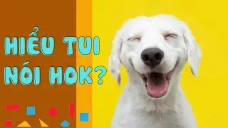 Video hài hước, LU LU lần đầu nghe Ba nói Tam giác tròn tam giác vuông| HỘI ĐỒNG DƯ vlog