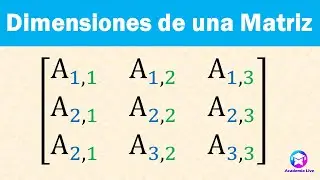 Dimensiones de una matriz. @academialive