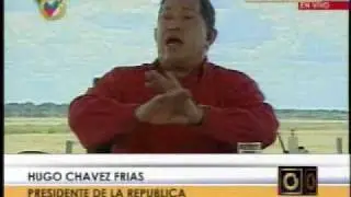 Chavez llama 