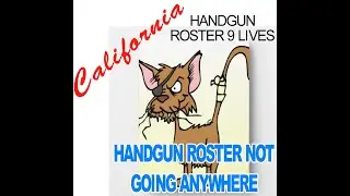 Courts Ruling on California Handgun Roster, Stop Getting Excited.