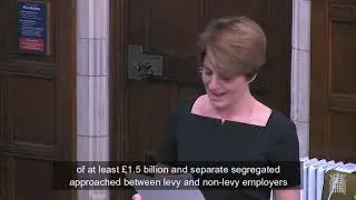 Apprenticeship Levy Debate in Westminster Hall