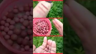 Новые румяна-шарики Эйвон Украина. Розовое сияние в оттенке 