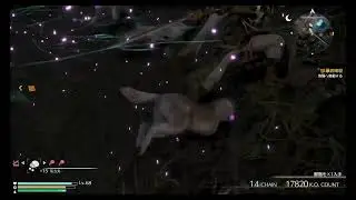 【真・三國無双8】諸国漫遊記７【ストーリー第２章】