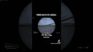Threw the eye of a needle #gaming #dayz