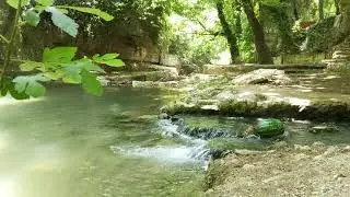 Happy Watermelon Relaxing In The River