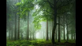 Ambient DARK AMBIENT