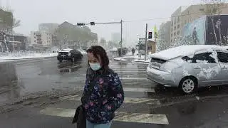 Хаврын цастай өдөр / Snowy spring day in Ulaanbaatar, Mongolia