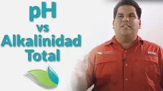 La Diferencia Entre el pH y la Alcalinidad Total | Orenda Español