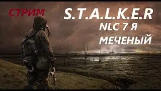 S.T.A.L.K.E.R nlc 7 я меченый стрим онлайн #1