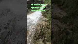 Устал от одних и тех же треков в ленте