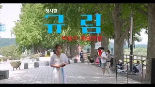 아산 은행나무길 버스킹 공연 