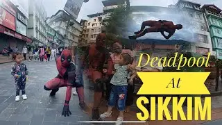 Deadpool at Gangtok Sikkim |Sikkim | Deadpool | Takam Todo