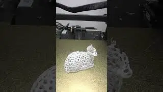 3D Printed Holey Fawn Time Lapse