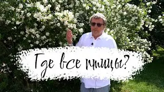 Парк Птиц - идея для выходных