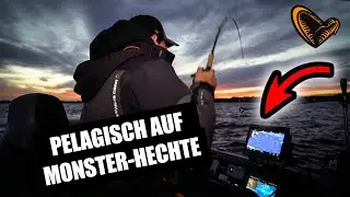 PELAGISCH auf MONSTER HECHTE mit dem Monster Slug 🦖