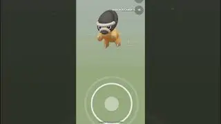 Hatching Shiny Pokemon EGGS in Pokemon Go!