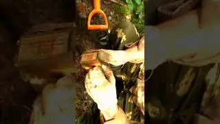Распаковали спустя 80 лет, сохран поражает! 