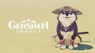 Pet Demo - 