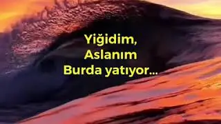 Yiğidim aslanım burda yatıyor 😓