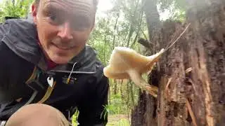 Wet Weather Fire - How to make fire in the WETTEST environments