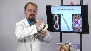 NM 200 Nuga Best  доктор Голод