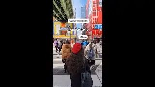 This Is Your Sign to Visit Akihabara!