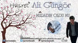 Ali Güngör - Muradın Oldu mu [Official Video  Güvercin Müzik ©]