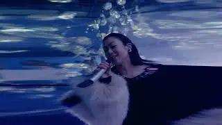 Hikaru Utada 「Somewhere Near Marseilles (Sci-Fi Edit)」 Music Video Panorama ver.