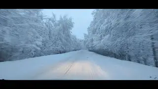 С Новым Годом, Друзья