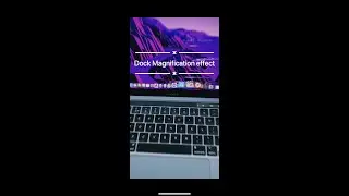 How to activate dock magnification effect on MacOS 