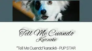 "Tell Me Cuando" Karaokê - PUP STAR