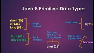 Java Operator & Data type | Java Data type & variable |Java Programming Data type & variable part II