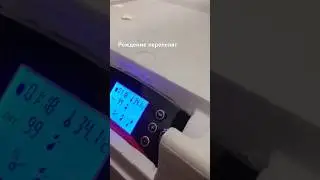 12 мая 2024 г.