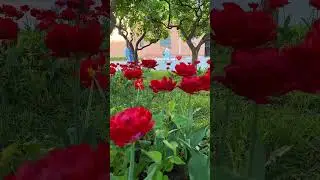 Индивидуальные экскурсии по Москве. Маршруты на сайте в профиле