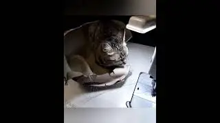 Перетяжка сиденья
