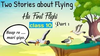 his first flight class 10 in hindi animation / two stories about flying class 10 part 1 in hindi