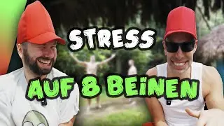 Stress im Urlaub | Feel zu sehen #2 zusammen mit @SinansWoche
